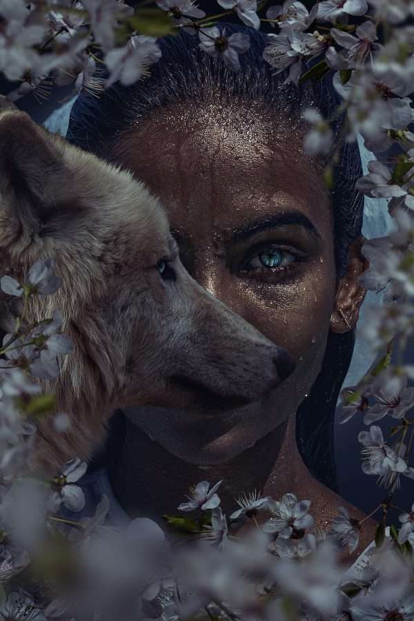 Beautiful Woman With Wolf