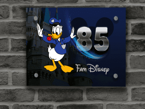 Donald Duck Naambordje 3