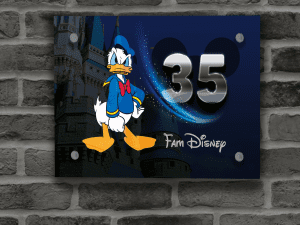 Donald Duck Naambordje 5