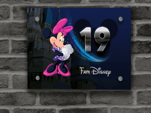 Minnie Mouse Naambordje 12