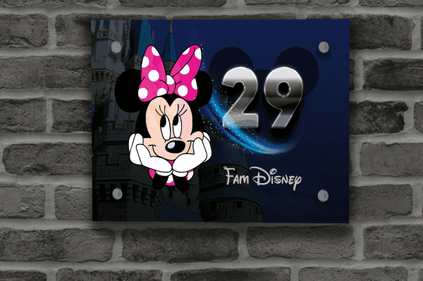 Minnie Mouse Naambordje 7