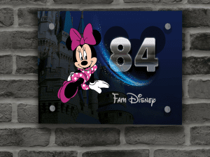 Minnie Mouse Naambordje 9