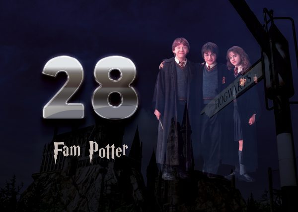 Harry Potter Naambordje 8