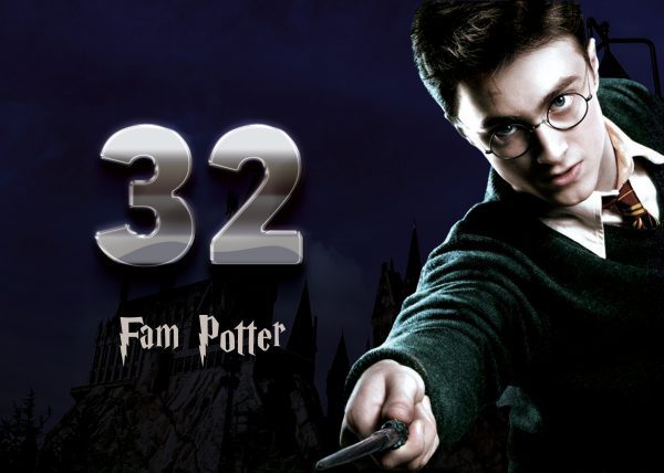 Harry Potter Naambordje 10