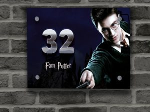 Harry Potter Naambordje 10