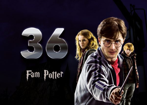 Harry Potter Naambordje 12