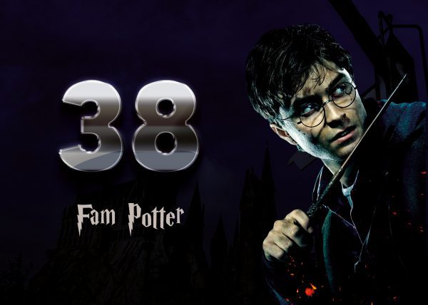 Harry Potter Naambordje 13