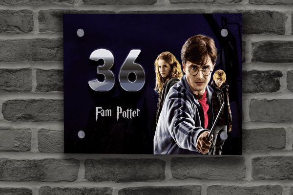 Harry Potter Naambordje 12