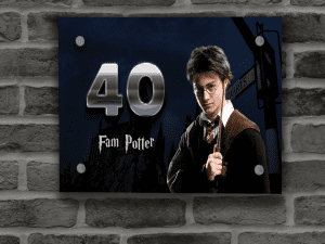 Harry Potter Naambordje 14
