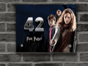 Harry Potter Naambordje 16