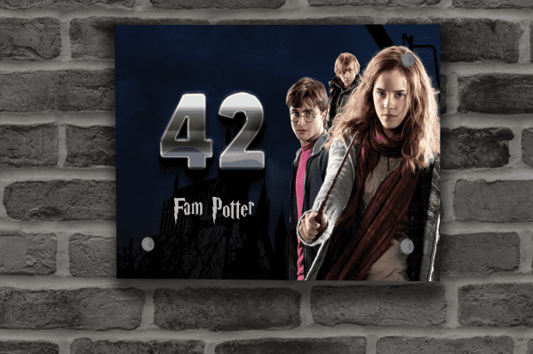 Harry Potter Naambordje 16