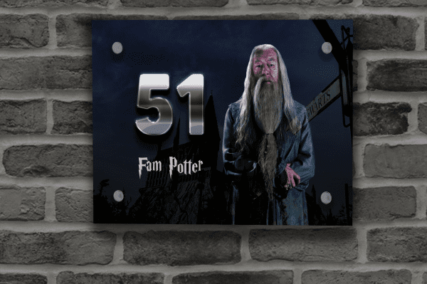 Harry Potter Naambordje 24