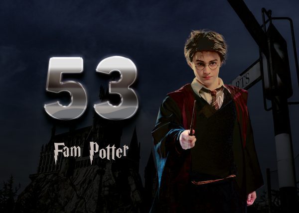 Harry Potter Naambordje 26