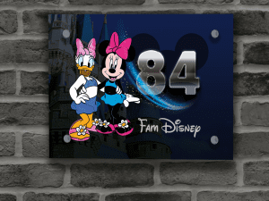 Minnie Mouse & Katrien Naambordje