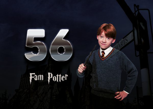 Harry Potter Naambordje 29