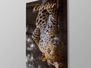 Cartier Panter